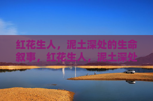 红花生人,泥土深处的生命叙事,红花生人,泥土深处的生命叙事 红花生人,泥土深处的生命叙事,红花生人,泥土深处的生命叙事