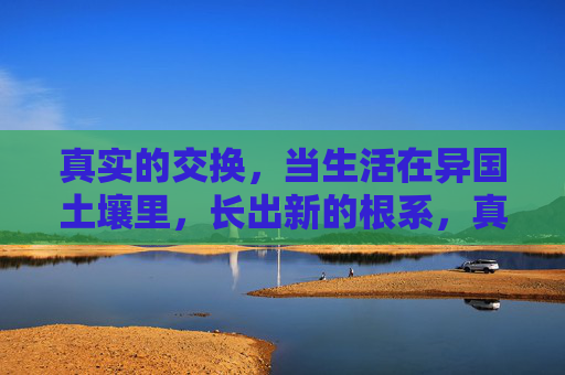 真实的交换,当生活在异国土壤里,长出新的根系,真实的交换,异国土壤长新根 真实的交换,当生活在异国土壤里,长出新的根系,真实的交换,异国土壤长新根