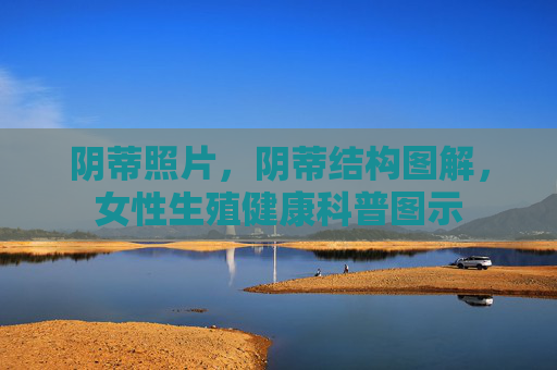 阴蒂照片,阴蒂结构图解,女性生殖健康科普图示 阴蒂照片,阴蒂结构图解,女性生殖健康科普图示