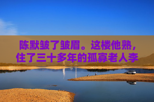 陈默皱了皱眉。这楼他熟，住了三十多年的孤寡老人李阿婆，腿脚不好，平时连门都很少出。订单备注像暗号，他干快递三年，从没见过这样的要求。但订单显示是加急件，配送费比平时高五倍，他叹口气，推着车往里走，孤寡老人暗号加急单，快递员送件起疑