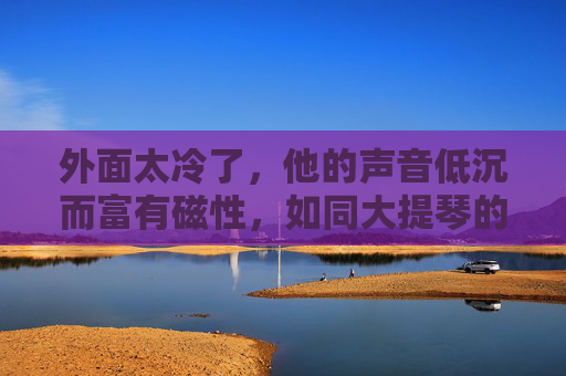 外面太冷了,他的声音低沉而富有磁性,如同大提琴的拨弦,轻易就穿透了书页的窸窣和炉火的噼啪,需要一点……温暖吗?他的声音,是寒夜里的温暖拨弦 外面太冷了,他的声音低沉而富有磁性,如同大提琴的拨弦,轻易就穿透了书页的窸窣和炉火的噼啪,需要一点……温暖吗?他的声音,是寒夜里的温暖拨弦