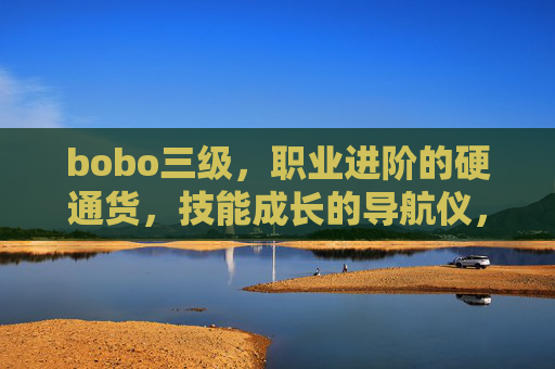 bobo三级,职业进阶的硬通货,技能成长的导航仪,bobo三级,职业进阶硬通货·技能成长导航仪 bobo三级,职业进阶的硬通货,技能成长的导航仪,bobo三级,职业进阶硬通货·技能成长导航仪