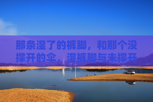 那条湿了的裤脚，和那个没撑开的伞，湿裤脚与未撑开的伞