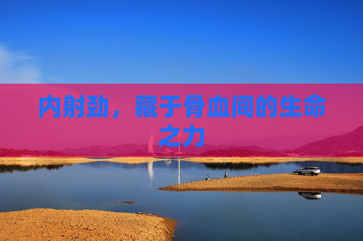 内射劲,藏于骨血间的生命之力 内射劲,藏于骨血间的生命之力