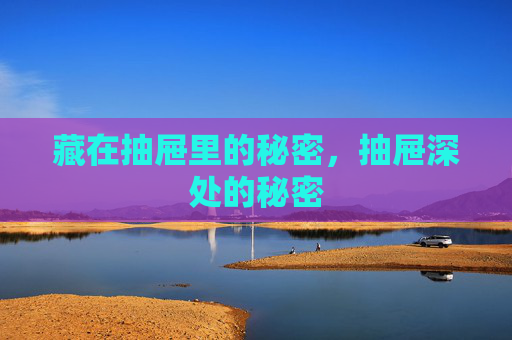 藏在抽屉里的秘密,抽屉深处的秘密 藏在抽屉里的秘密,抽屉深处的秘密