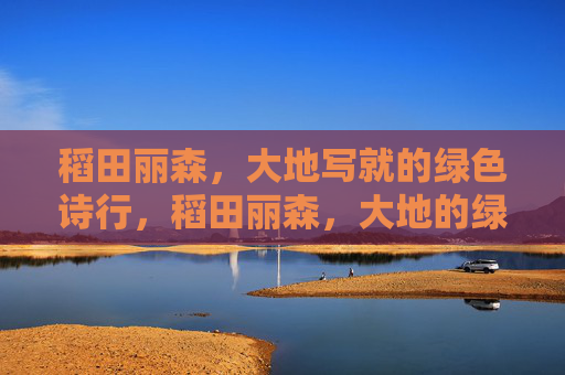 稻田丽森,大地写就的绿色诗行,稻田丽森,大地的绿色诗行 稻田丽森,大地写就的绿色诗行,稻田丽森,大地的绿色诗行