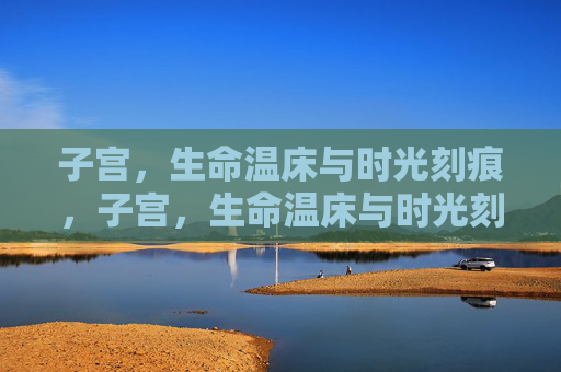 子宫,生命温床与时光刻痕,子宫,生命温床与时光刻痕 子宫,生命温床与时光刻痕,子宫,生命温床与时光刻痕