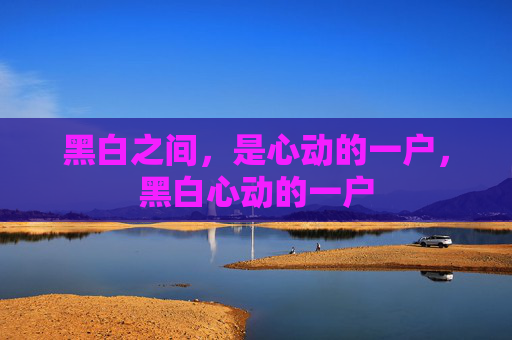 黑白之间，是心动的一户，黑白心动的一户