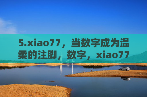 5.xiao77，当数字成为温柔的注脚，数字，xiao77的温柔注脚