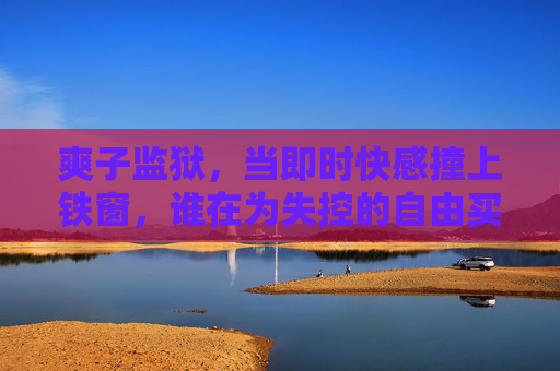 爽子监狱,当即时快感撞上铁窗,谁在为失控的自由买单? 爽子监狱,当即时快感撞上铁窗,谁在为失控的自由买单?
