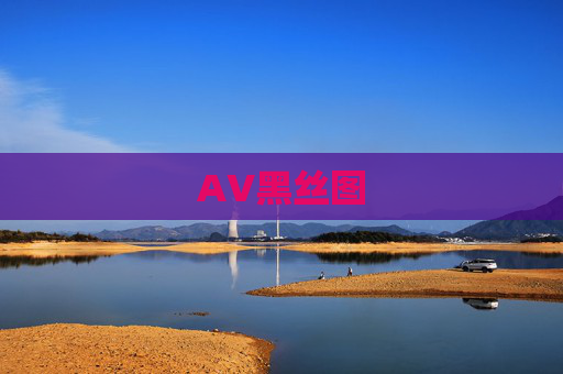 AV黑丝图 AV黑丝图