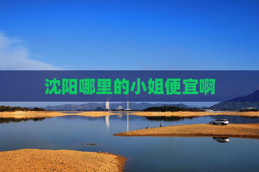 沈阳哪里的小姐便宜啊 沈阳哪里的小姐便宜啊