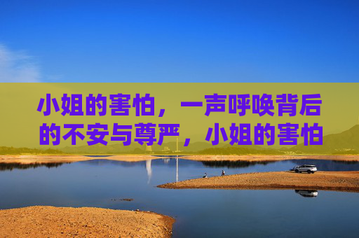 小姐的害怕，一声呼唤背后的不安与尊严，小姐的害怕，呼唤声里的不安与尊严