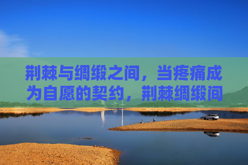 荆棘与绸缎之间,当疼痛成为自愿的契约,荆棘绸缎间,疼痛的自愿契约 荆棘与绸缎之间,当疼痛成为自愿的契约,荆棘绸缎间,疼痛的自愿契约