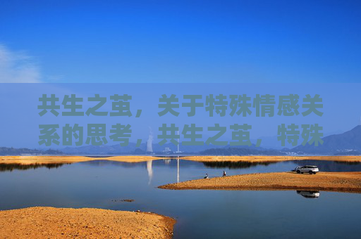 共生之茧,关于特殊情感关系的思考,共生之茧,特殊情感关系的思辨 共生之茧,关于特殊情感关系的思考,共生之茧,特殊情感关系的思辨