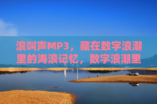 浪叫声MP3，藏在数字浪潮里的海浪记忆，数字浪潮里的MP3海浪记忆