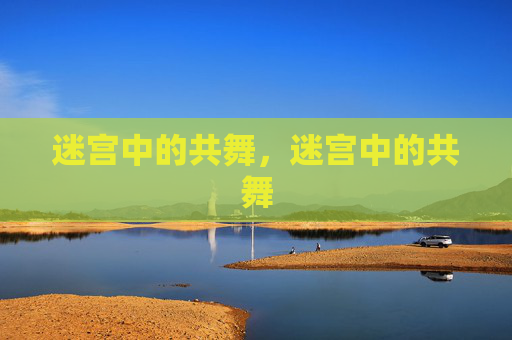 迷宫中的共舞，迷宫中的共舞