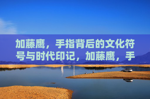 加藤鹰,手指背后的文化符号与时代印记,加藤鹰,手指的文化符号与时代印记 加藤鹰,手指背后的文化符号与时代印记,加藤鹰,手指的文化符号与时代印记