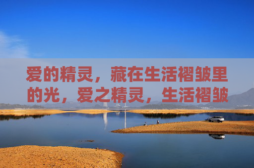 爱的精灵，藏在生活褶皱里的光，爱之精灵，生活褶皱里的光