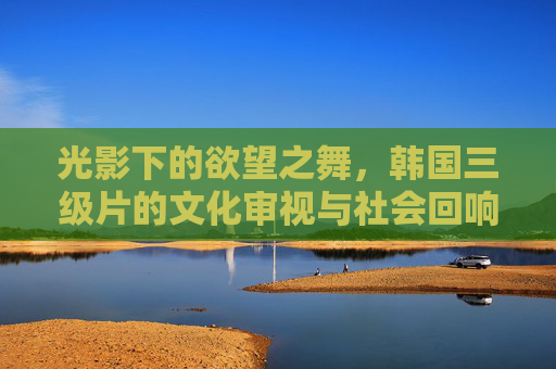 光影下的欲望之舞，韩国三级片的文化审视与社会回响，光影欲望之舞，韩国三级片的文化审视与社会回响