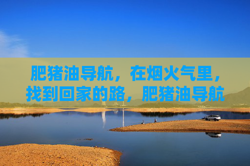 肥猪油导航,在烟火气里,找到回家的路,肥猪油导航,烟火气里的归途 肥猪油导航,在烟火气里,找到回家的路,肥猪油导航,烟火气里的归途
