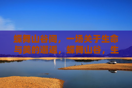 蝶舞山谷间,一场关于生命与美的邂逅,蝶舞山谷,生命与美的邂逅 蝶舞山谷间,一场关于生命与美的邂逅,蝶舞山谷,生命与美的邂逅