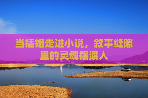 当插姐走进小说,叙事缝隙里的灵魂摆渡人 当插姐走进小说,叙事缝隙里的灵魂摆渡人