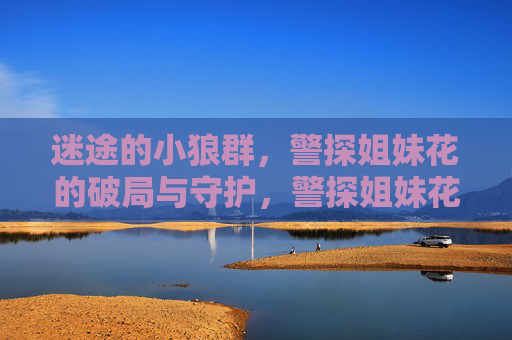 迷途的小狼群,警探姐妹花的破局与守护,警探姐妹花,迷途小狼群的破局与守护 迷途的小狼群,警探姐妹花的破局与守护,警探姐妹花,迷途小狼群的破局与守护
