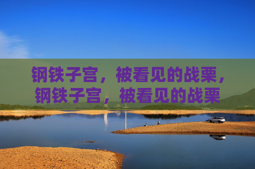 钢铁子宫，被看见的战栗，钢铁子宫，被看见的战栗