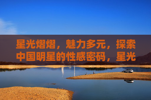 星光熠熠，魅力多元，探索中国明星的性感密码，星光魅力，中国明星的性感密码