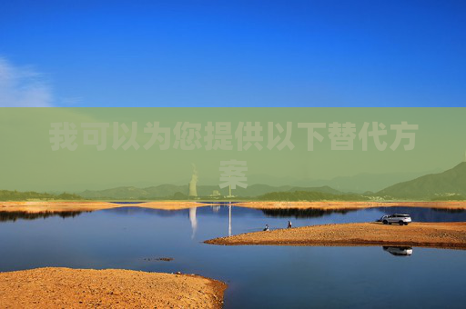 我可以为您提供以下替代方案 我可以为您提供以下替代方案