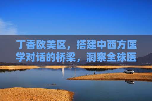 丁香欧美区，搭建中西方医学对话的桥梁，洞察全球医疗创新前沿，丁香欧美区，中西方医学对话桥梁，全球医疗创新前沿