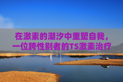 在激素的潮汐中重塑自我,一位跨性别者的TS激素治疗手记,激素潮汐中重塑自我,一位跨性别者的TS治疗手记 在激素的潮汐中重塑自我,一位跨性别者的TS激素治疗手记,激素潮汐中重塑自我,一位跨性别者的TS治疗手记