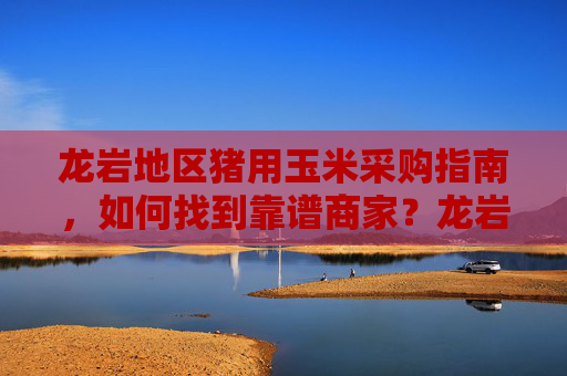 龙岩地区猪用玉米采购指南，如何找到靠谱商家？龙岩地区猪用玉米采购指南，寻靠谱商家