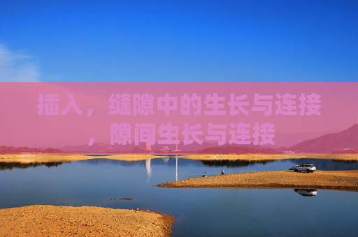 插入，缝隙中的生长与连接，隙间生长与连接
