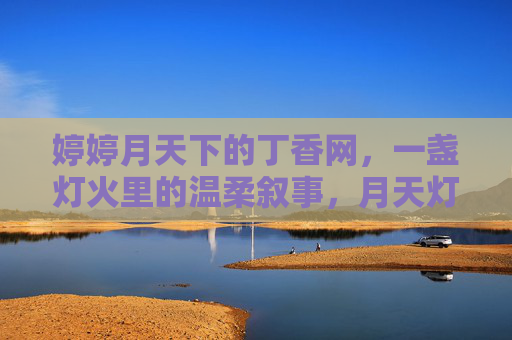 婷婷月天下的丁香网，一盏灯火里的温柔叙事，月天灯火里，丁香网的温柔叙事