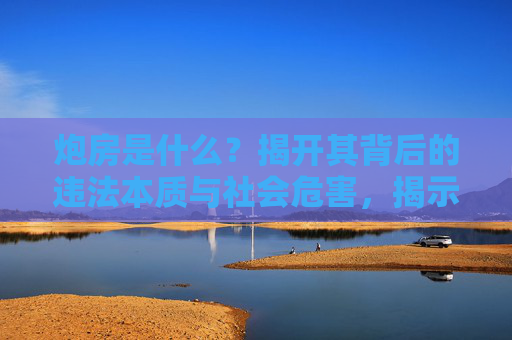 炮房是什么？揭开其背后的违法本质与社会危害，揭示炮房的违法本质与社会危害