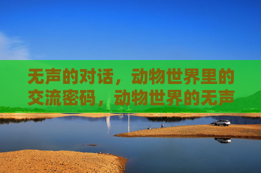 无声的对话,动物世界里的交流密码,动物世界的无声交流密码 无声的对话,动物世界里的交流密码,动物世界的无声交流密码
