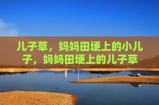 儿子草,妈妈田埂上的小儿子,妈妈田埂上的儿子草 儿子草,妈妈田埂上的小儿子,妈妈田埂上的儿子草