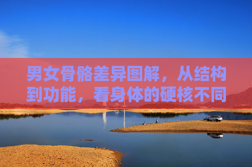 男女骨骼差异图解，从结构到功能，看身体的硬核不同，男女骨骼差异，结构到功能的硬核图解