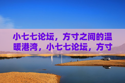 小七七论坛，方寸之间的温暖港湾，小七七论坛，方寸间的温暖港湾