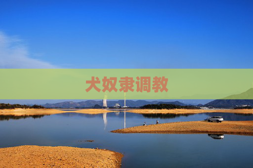 犬奴隶调教
