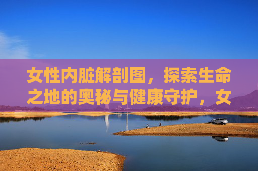 女性内脏解剖图,探索生命之地的奥秘与健康守护,女性内脏解剖图,生命之地的奥秘与健康守护 女性内脏解剖图,探索生命之地的奥秘与健康守护,女性内脏解剖图,生命之地的奥秘与健康守护