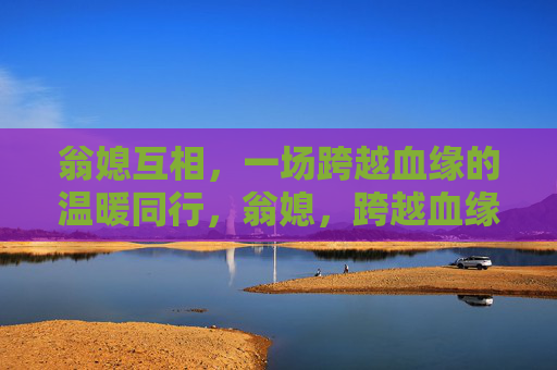 翁媳互相，一场跨越血缘的温暖同行，翁媳，跨越血缘的温暖同行