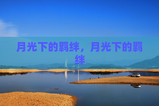月光下的羁绊，月光下的羁绊