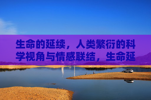 生命的延续,人类繁衍的科学视角与情感联结,生命延续的经纬,人类繁衍的科学与情感交织 生命的延续,人类繁衍的科学视角与情感联结,生命延续的经纬,人类繁衍的科学与情感交织