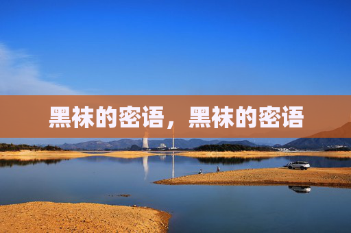 黑袜的密语，黑袜的密语