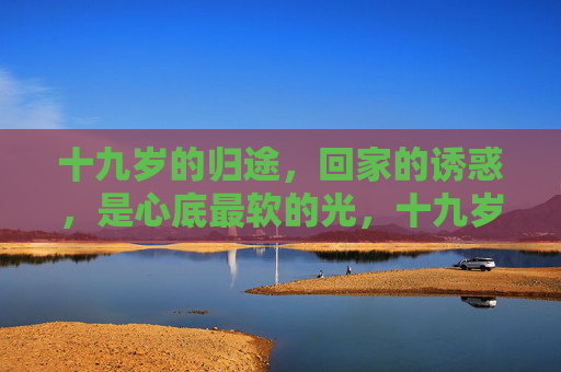 十九岁的归途，回家的诱惑，是心底最软的光，十九岁的归途，心底最软的光