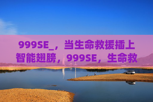 999SE_,当生命救援插上智能翅膀,999SE,生命救援的智能翅膀 999SE_,当生命救援插上智能翅膀,999SE,生命救援的智能翅膀