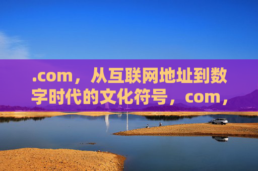 .com,从互联网地址到数字时代的文化符号,com,从互联网地址到数字时代的文化符号 .com,从互联网地址到数字时代的文化符号,com,从互联网地址到数字时代的文化符号